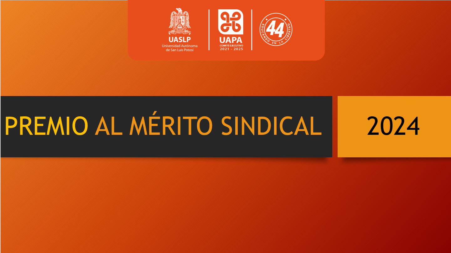 Premio merito sindical 2024